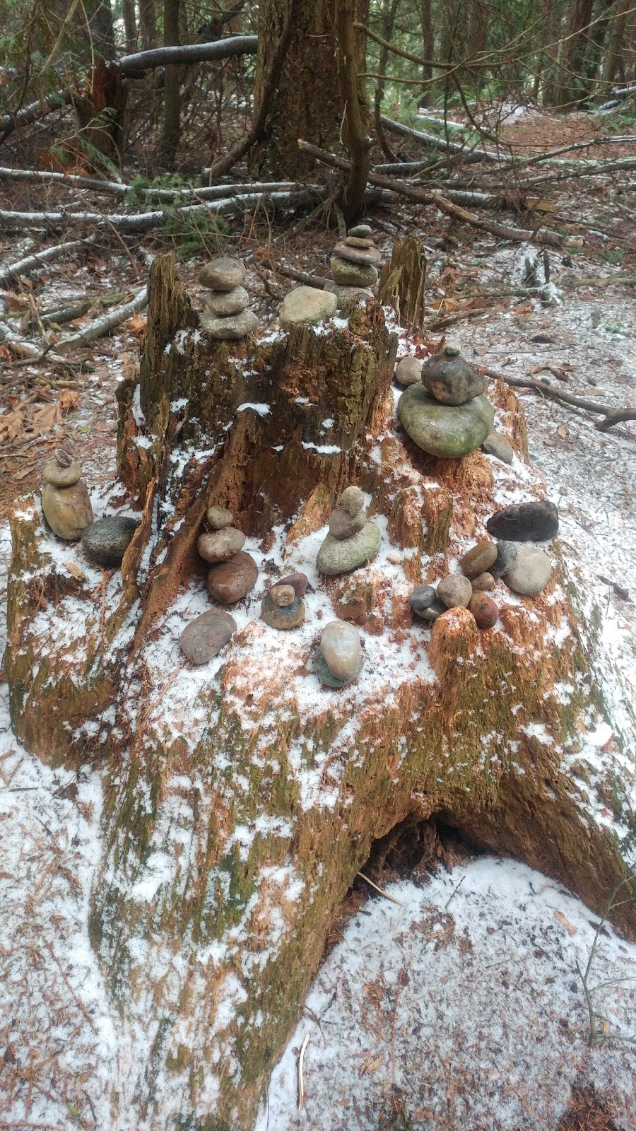 Watershed Park | 11600 Kittson Pkwy, Delta, BC V4E 1C5, Canada | Phone: (604) 946-3308