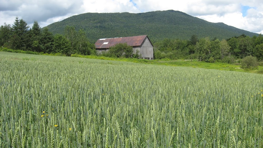 Ferme Terre et Vent | 139 Route du Parc, Notre-Dame-des-Bois, QC J0B 2E0, Canada | Phone: (819) 888-2715