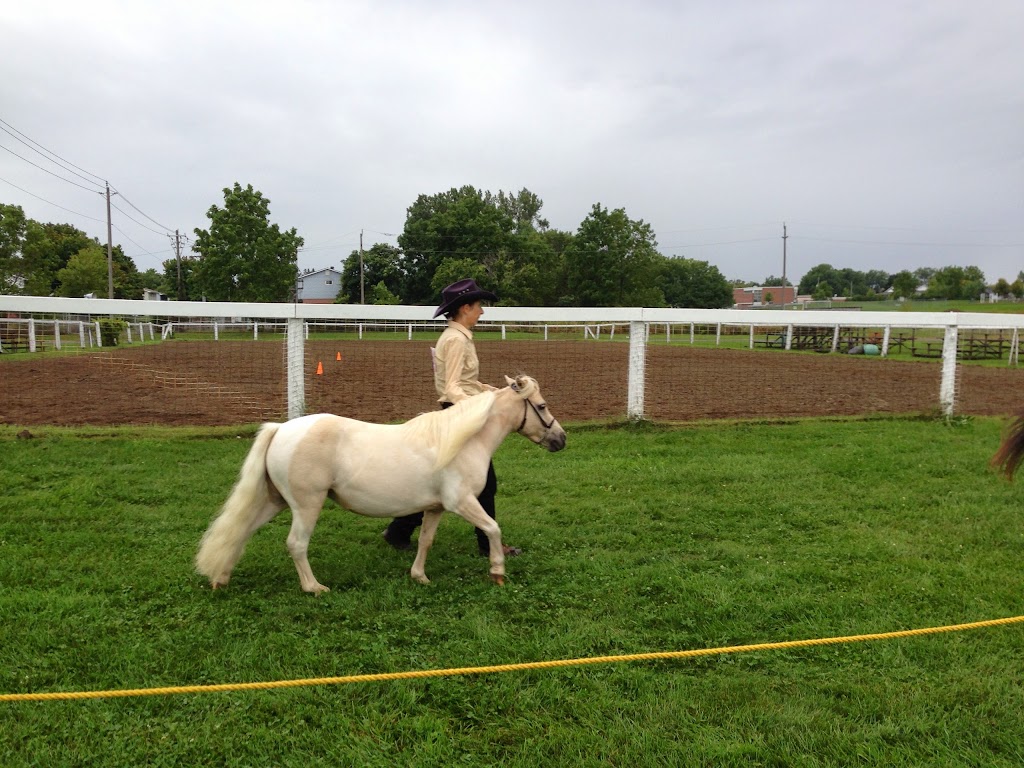 Picton Fairgrounds | 375 Main St E, Prince Edward, ON K0K, Canada, Canada | Phone: (613) 476-6154