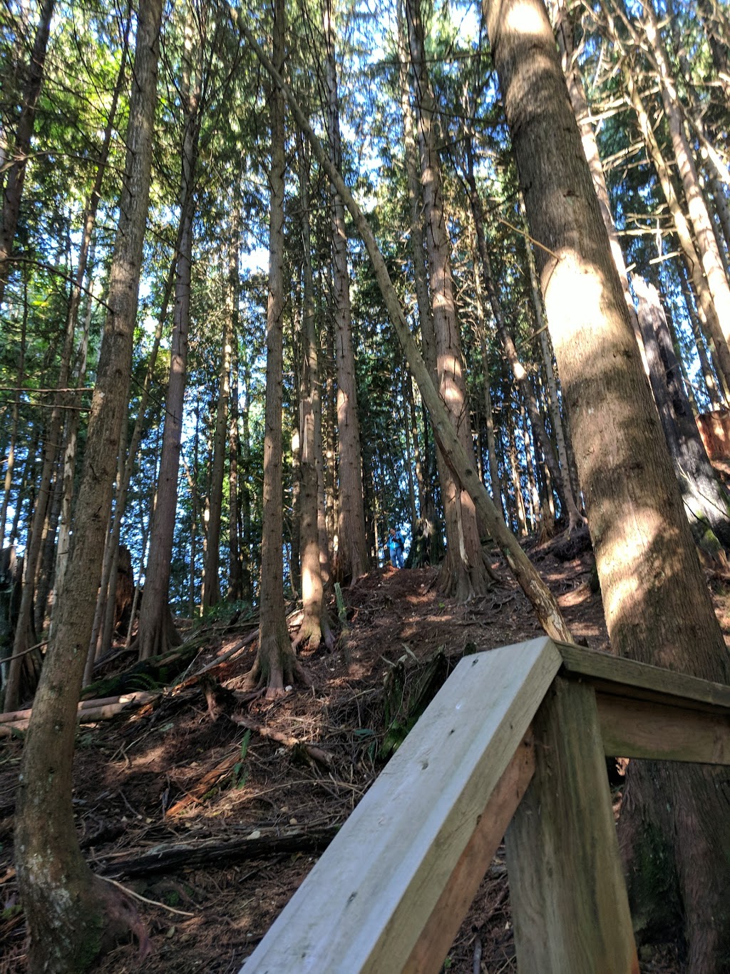 Turnberry Tot Lot | 2208 Turnberry Ln, Coquitlam, BC V3E 3N3, Canada | Phone: (604) 927-3000