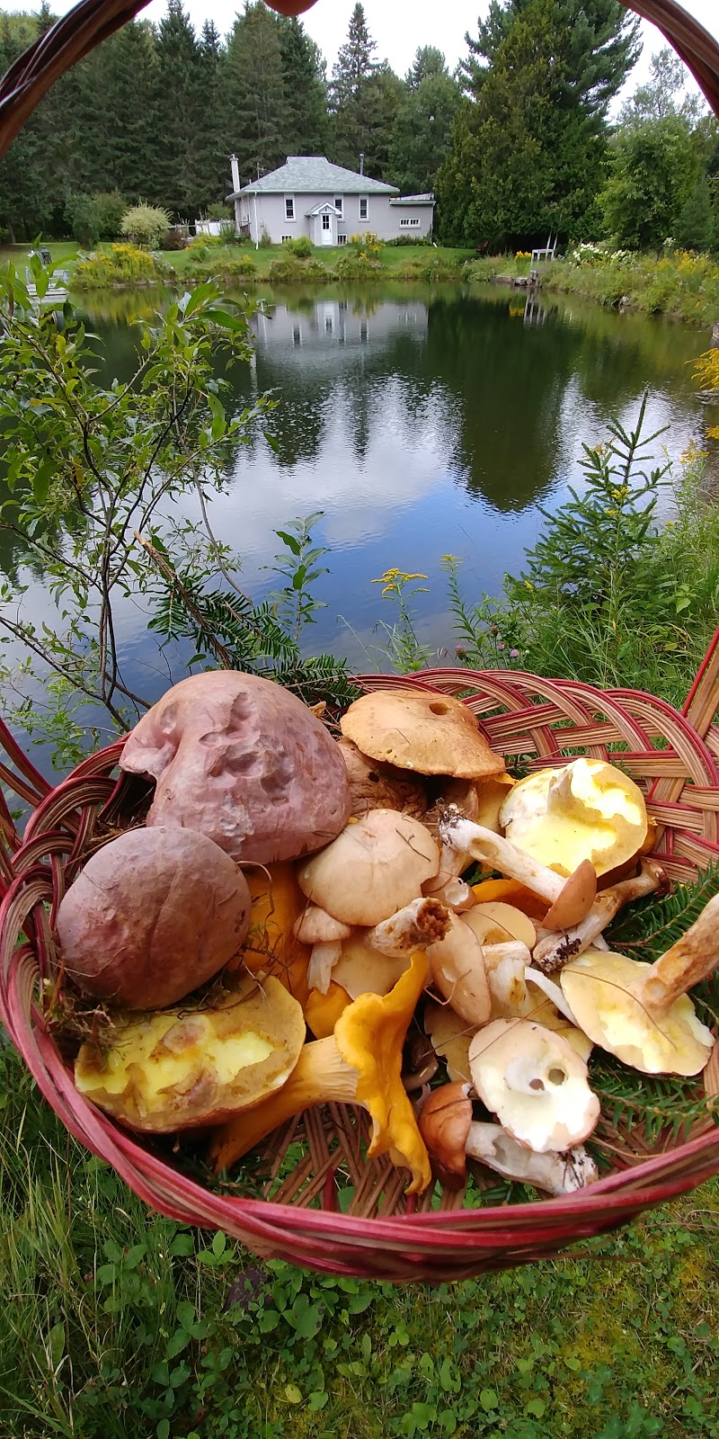 Etangs De Peche Du Capitaine | 94 Chemin de la Rouge, Brébeuf, QC J0T 1B0, Canada | Phone: (819) 429-5470