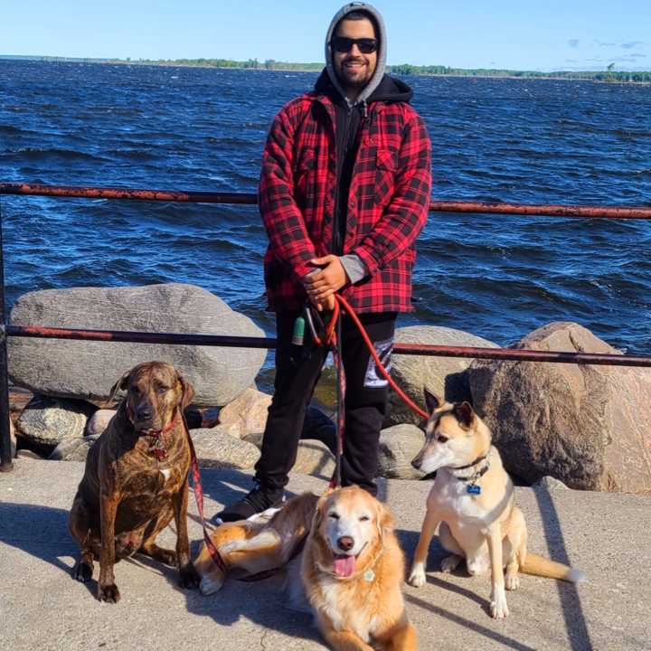 Big Puppy love | 313 Percy St, Waubaushene, ON L0K 2C0, Canada | Phone: (416) 697-8330