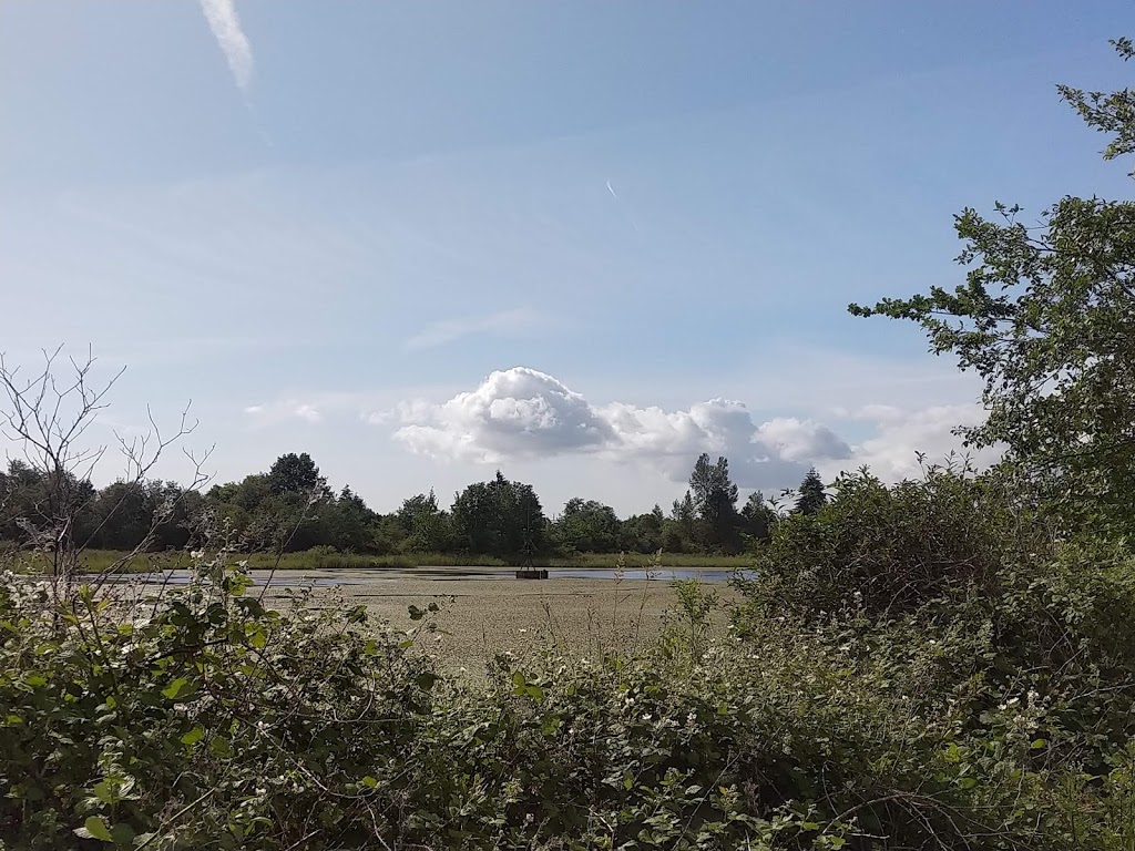 Buttertubs Marsh Park | 197 Bird Sanctuary Dr, Nanaimo, BC V9R 6G8, Canada | Phone: (250) 754-4251