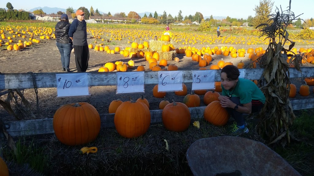 G.S. Farm | 11400 No 4 Rd, Richmond, BC V7A 2Z8, Canada | Phone: (604) 454-4411