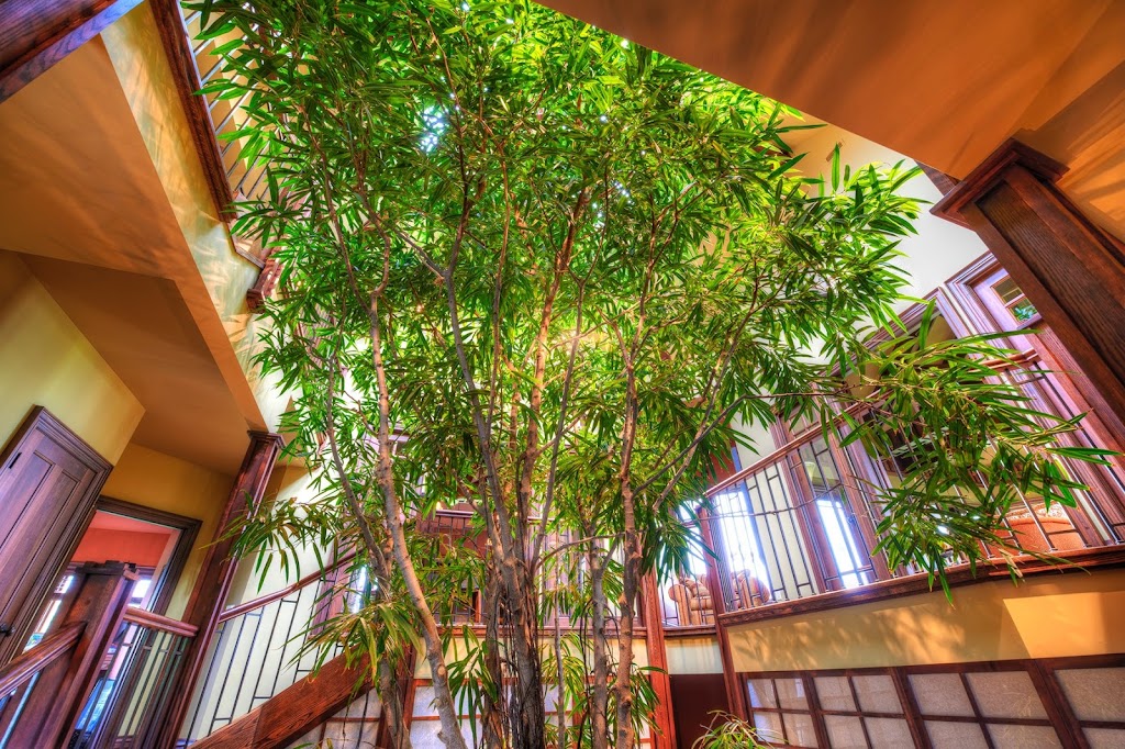 Tree House Kitchen | 76 Oak Ave, Dundas, ON L9H 7P6, Canada | Phone: (888) 607-0333