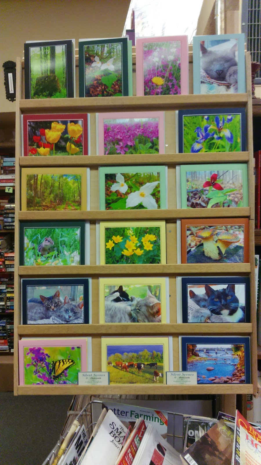The Bookstore | 144 Garafraxa St S, Durham, ON N0G 1R0, Canada | Phone: (519) 369-2974