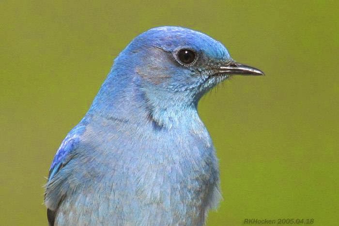 Backyard Wild Bird & Nature Store The | 6314 Metral Dr, Nanaimo, BC V9T 2L8, Canada | Phone: (250) 390-3669