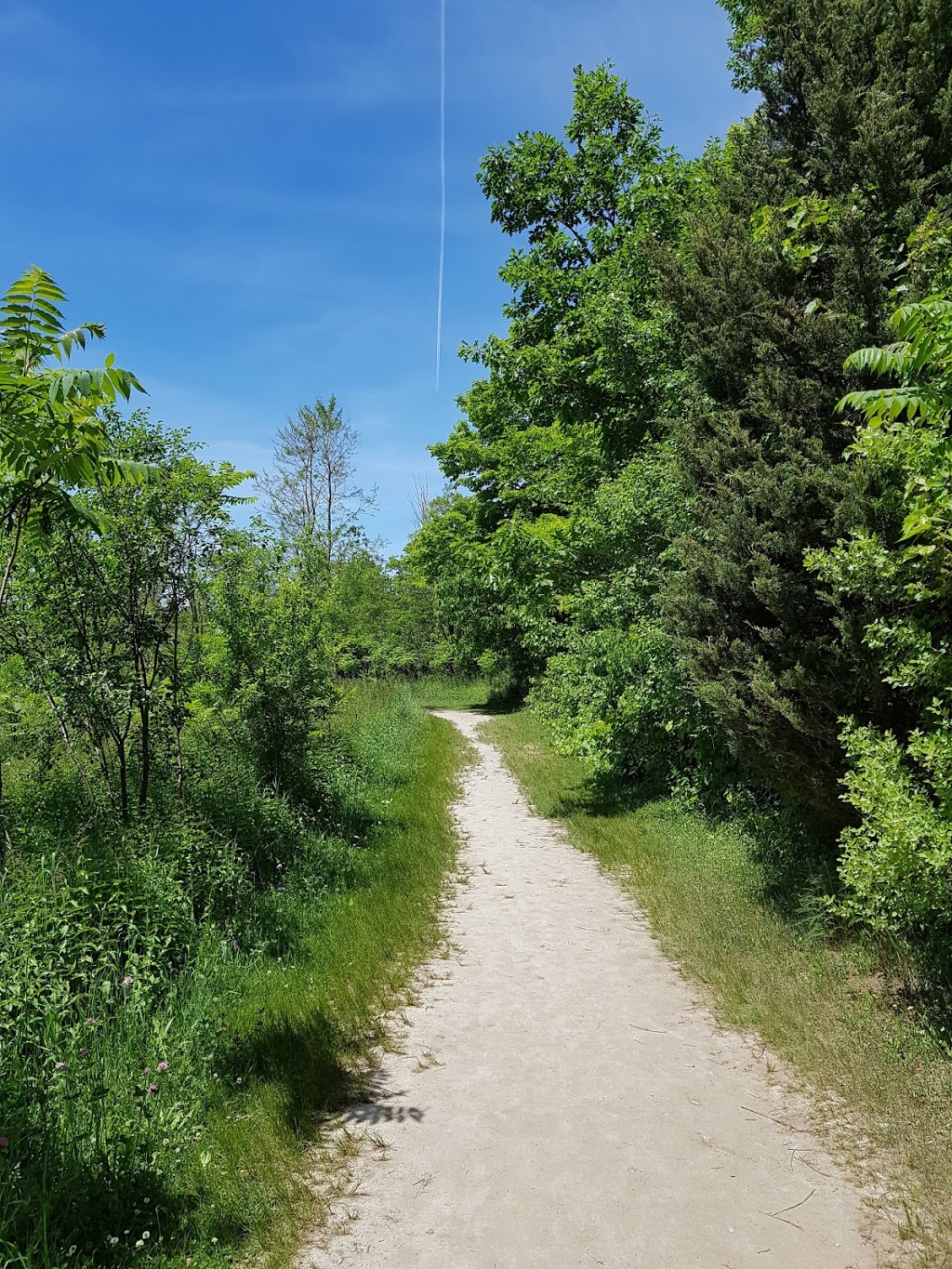 Vista Trail Trailhead | 1749 Meadowvale Rd, Scarborough, ON M1B 5W8, Canada | Phone: (416) 264-2020