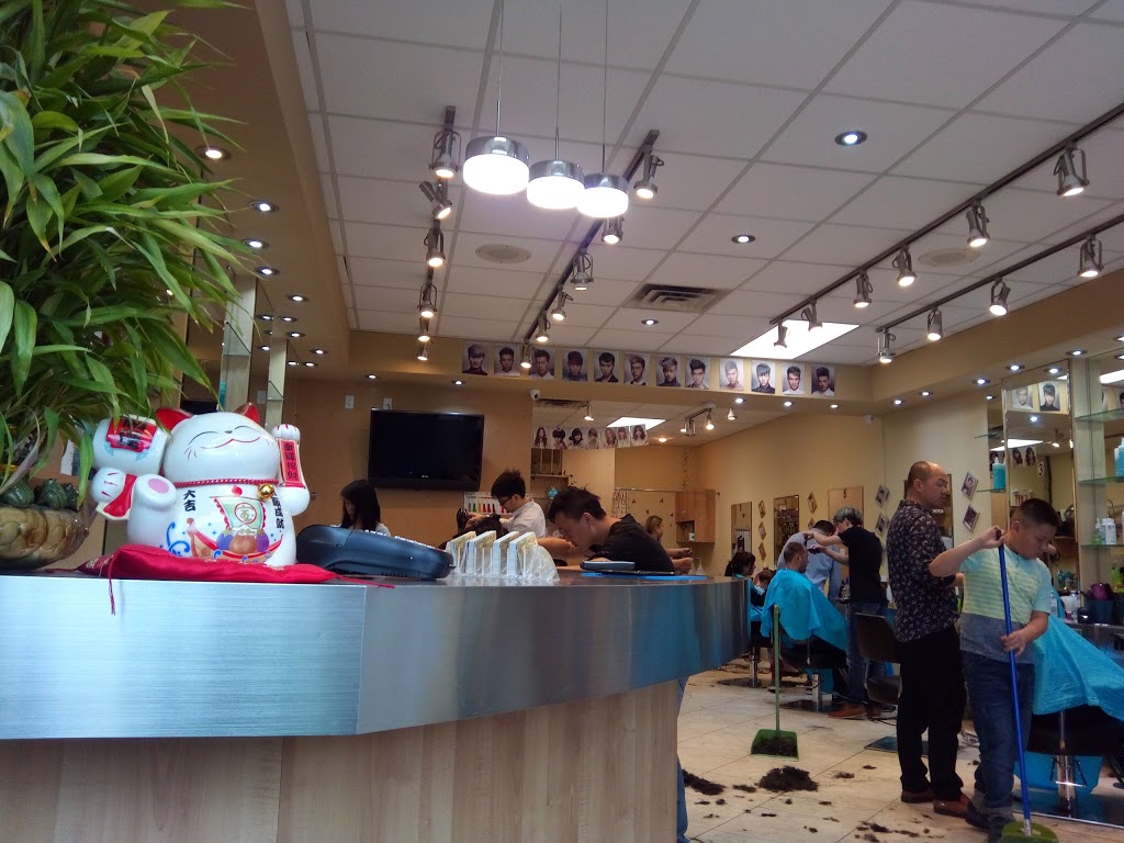 Hair Joy | 4404 Bathurst St, North York, ON M3H 3R7, Canada | Phone: (416) 633-8538