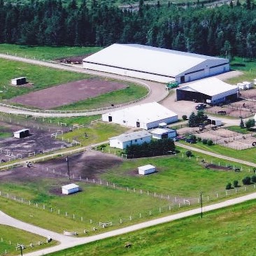 Eagle Hill Equine | Range Rd 42, Eagle Hill, AB T0M 1C0, Canada | Phone: (403) 556-1195