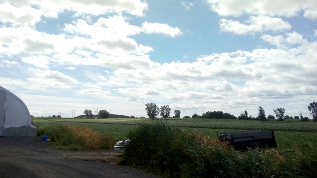 Camping Du Domaine Ensoleillé De St-Rémi | 524 Rang Saint-Paul, Saint-Rémi, QC J0L 2L0, Canada | Phone: (450) 454-2228