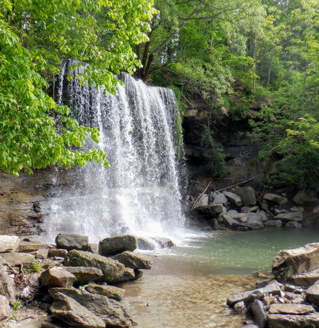 Rock Glen Conservation Area | 8680 Rock Glen Rd, Arkona, ON N0M 1B0, Canada | Phone: (519) 828-3071