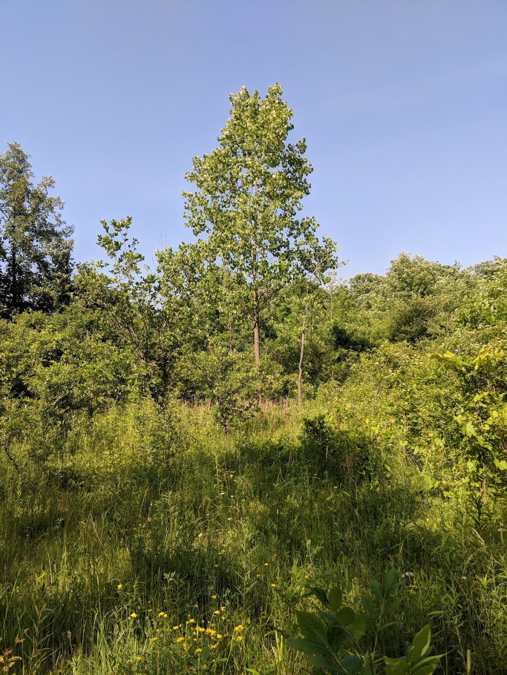 Perch Creek Habitat Area | 1838-1902 Churchill Line, Sarnia, ON N7T 7H3, Canada