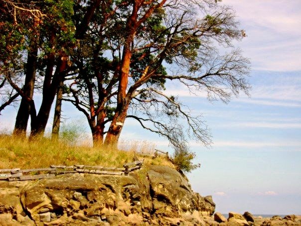 Galiano Properties - Marilou Rogers | 23 Madrona Dr, Galiano Island, BC V0N 1P0, Canada | Phone: (888) 539-2250
