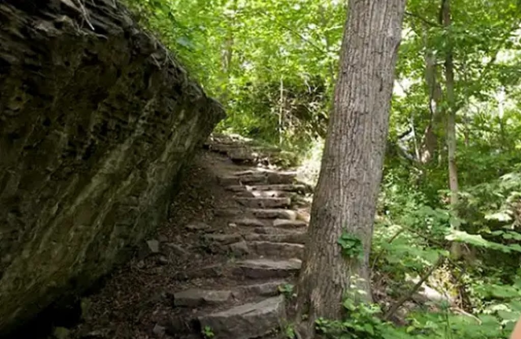 Niagara Glen Nature Centre | 3050 Niagara Pkwy, Niagara Falls, ON L2E, Canada | Phone: (905) 354-6678