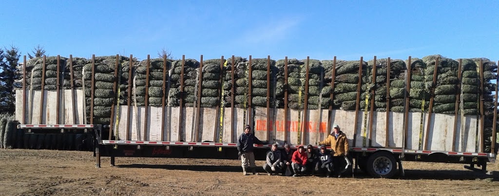 IDEAL PLANTATIONS / LES PLANTATIONS IDÉALES | 360 Rang des Chutes, Ham-Nord, QC G0P 1A0, Canada | Phone: (819) 344-2858