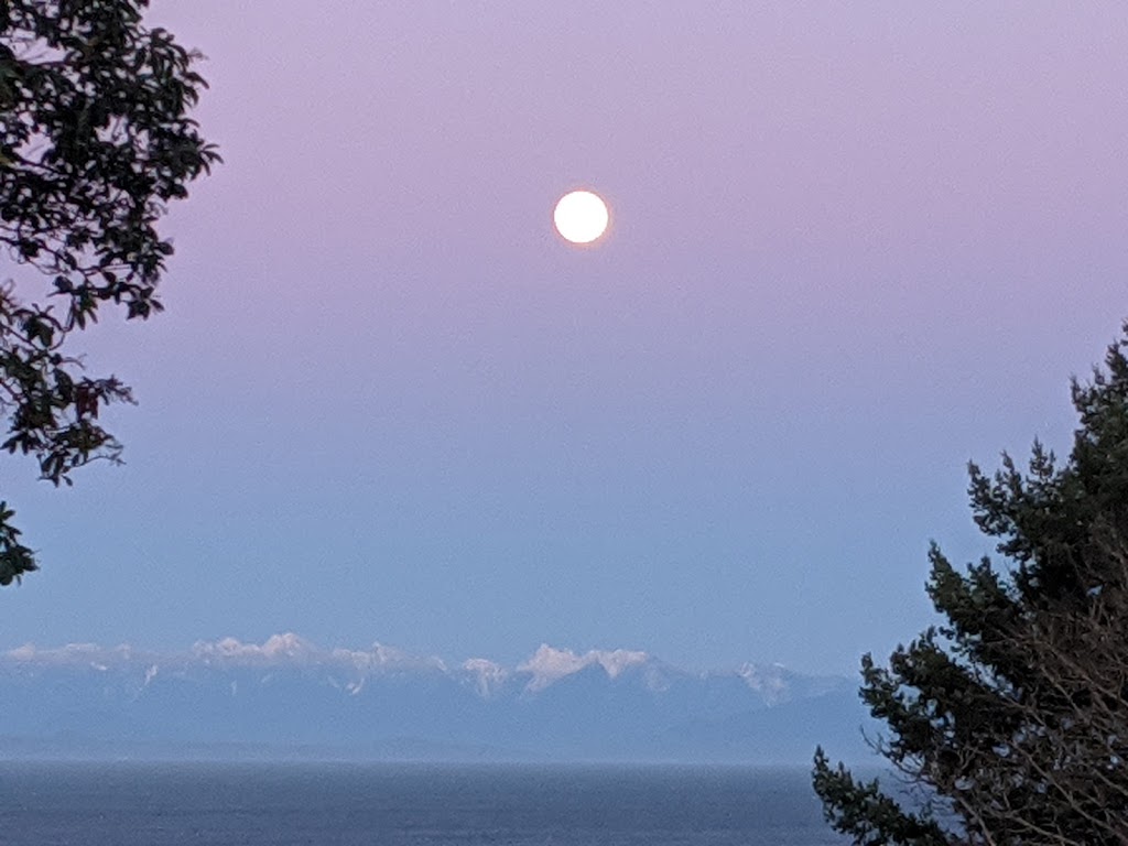 All Is One Health & Wellness | 5990 Icarus Dr, Nanaimo, BC V9V 1C8, Canada | Phone: (250) 756-9642