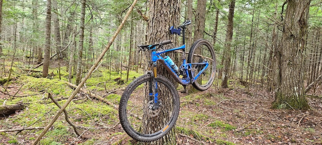 Beck Trail | PE-4, Murray River, PE C0A 1W0, Canada | Phone: (902) 620-0214
