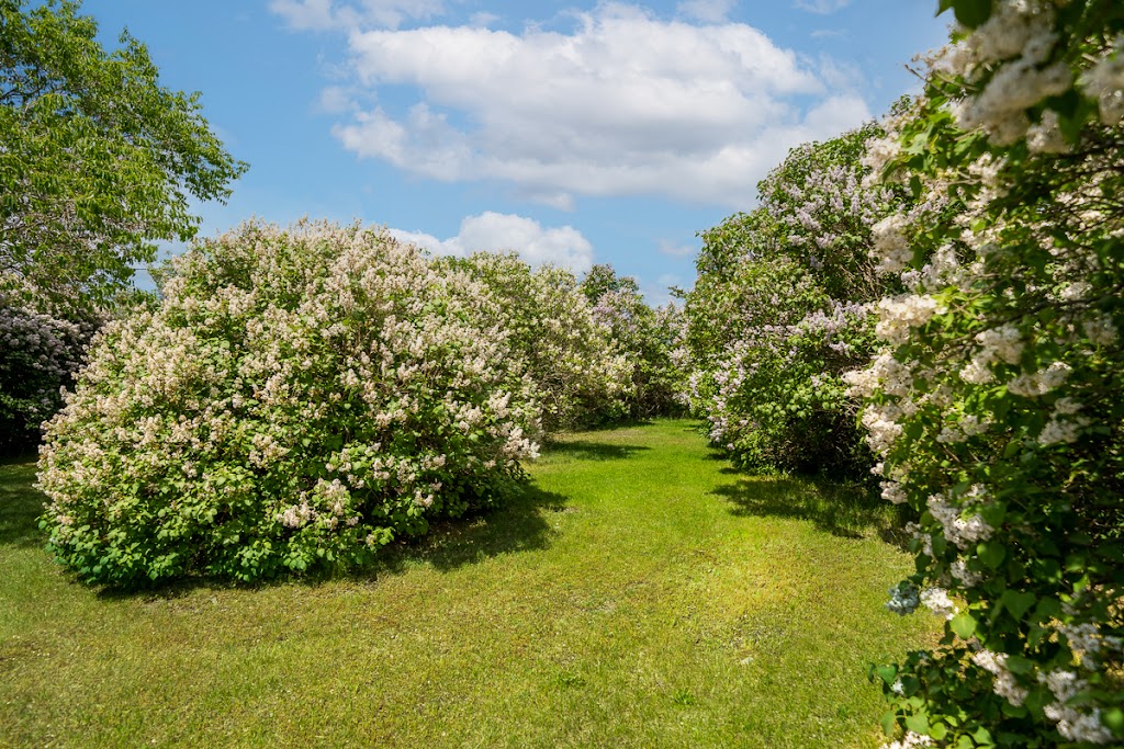 Lilac Lane B&B | 48 Mitchells Crossroad, Picton, ON K0K 2T0, Canada | Phone: (647) 927-1956