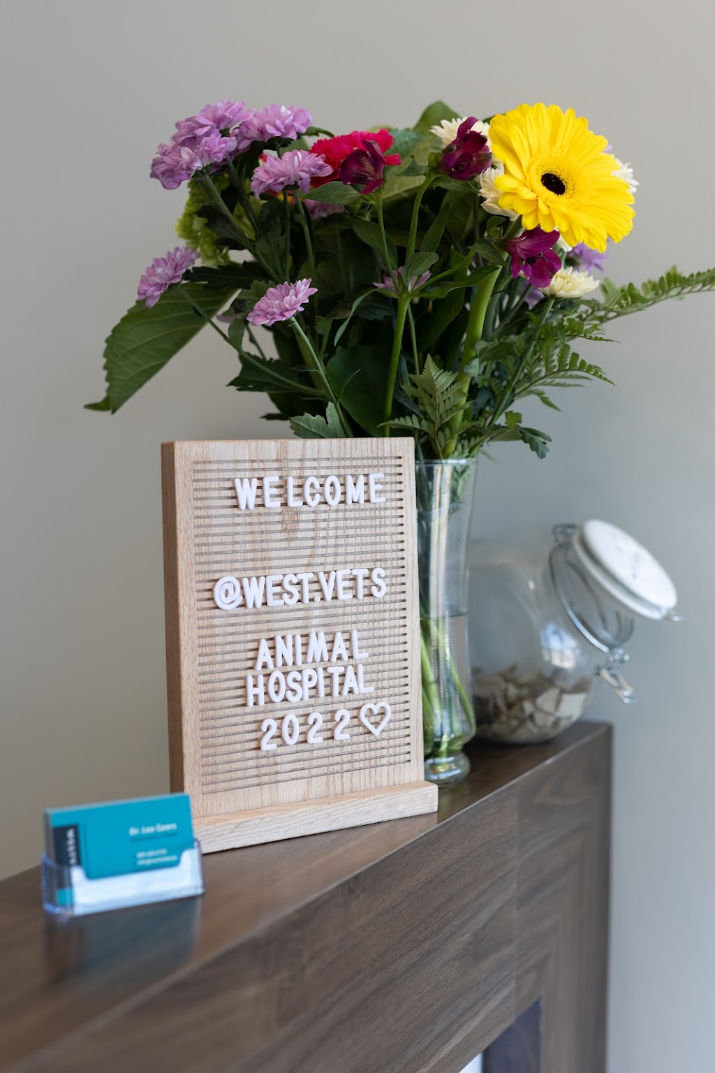 WestVets Animal Hospital | 876 Heritage Blvd W Unit 150, Lethbridge, AB T1K 8G1, Canada | Phone: (587) 425-6733