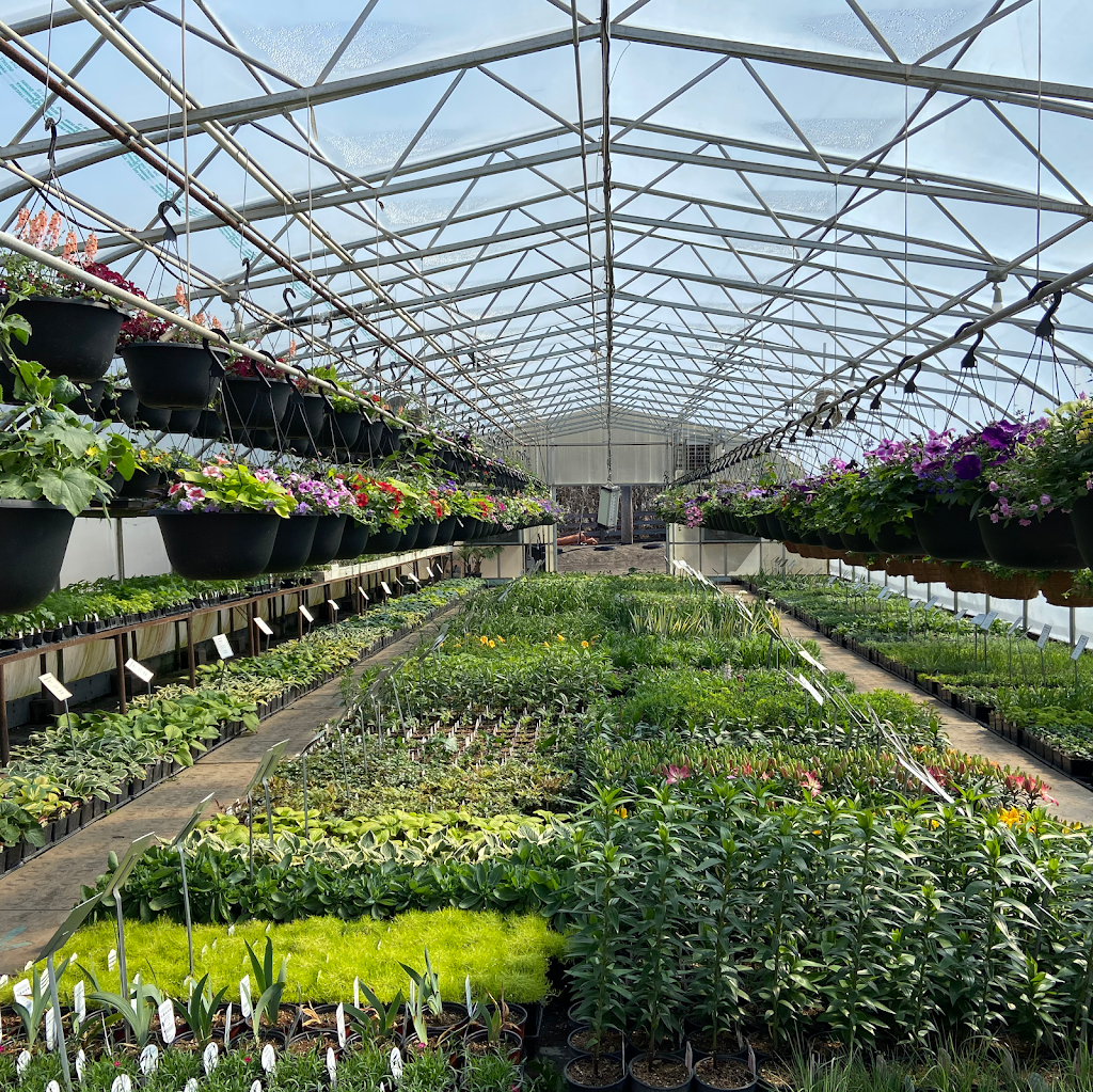 Sunstar Nurseries Ltd. | 810 167 Ave NE, Edmonton, AB T5Y 6K9, Canada | Phone: (780) 472-6103