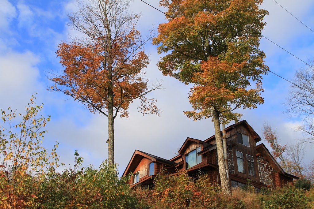 DJ Cottages | 104 Longs Lake Rd, Utterson, ON P0B 1M0, Canada | Phone: (416) 567-6538