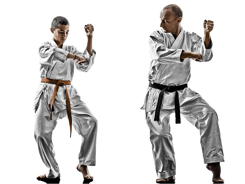 Dynamic Karate | 150 Violet Dr, Hamilton, ON L8E 6B4, Canada | Phone: (905) 928-5425
