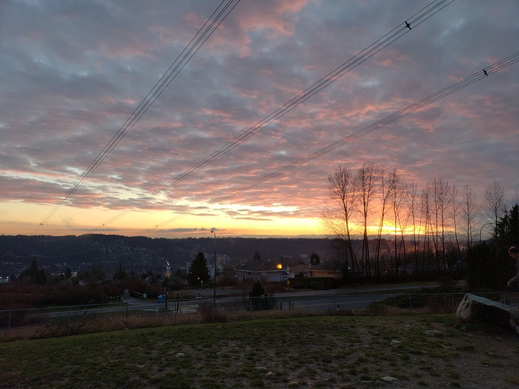 Bramble Park Off-Leash Area | 2641 David Ave, Coquitlam, BC V3E 2N5 David Ave, Coquitlam, BC V3E 2N5, Canada