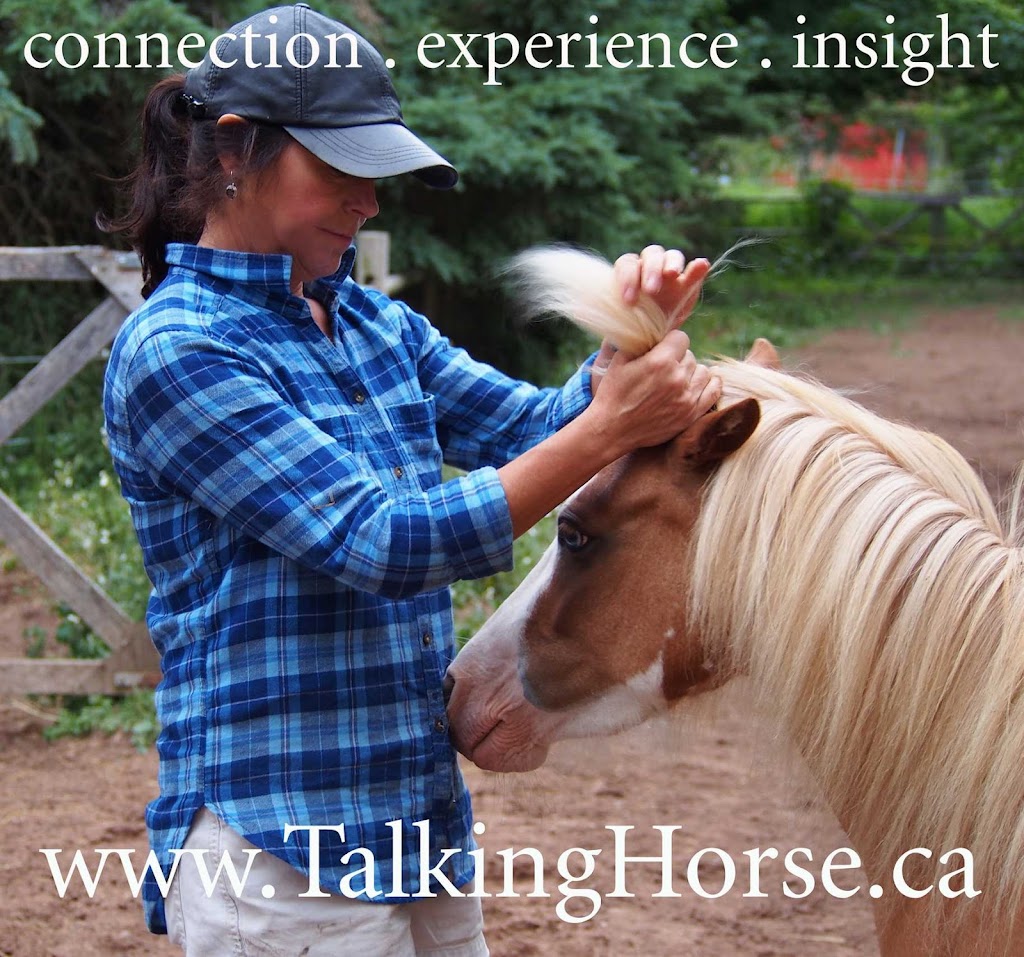 Talking Horse | point of interest | 1804 Hall Rd, Berwick, NS B0P 1E0, Canada | 9026709930 OR +1 902-670-9930