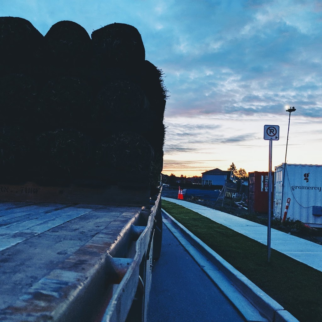 Western Turf Farms Ltd | 39183 No 5 Rd, Abbotsford, BC V3G 2G3, Canada | Phone: (604) 850-6660