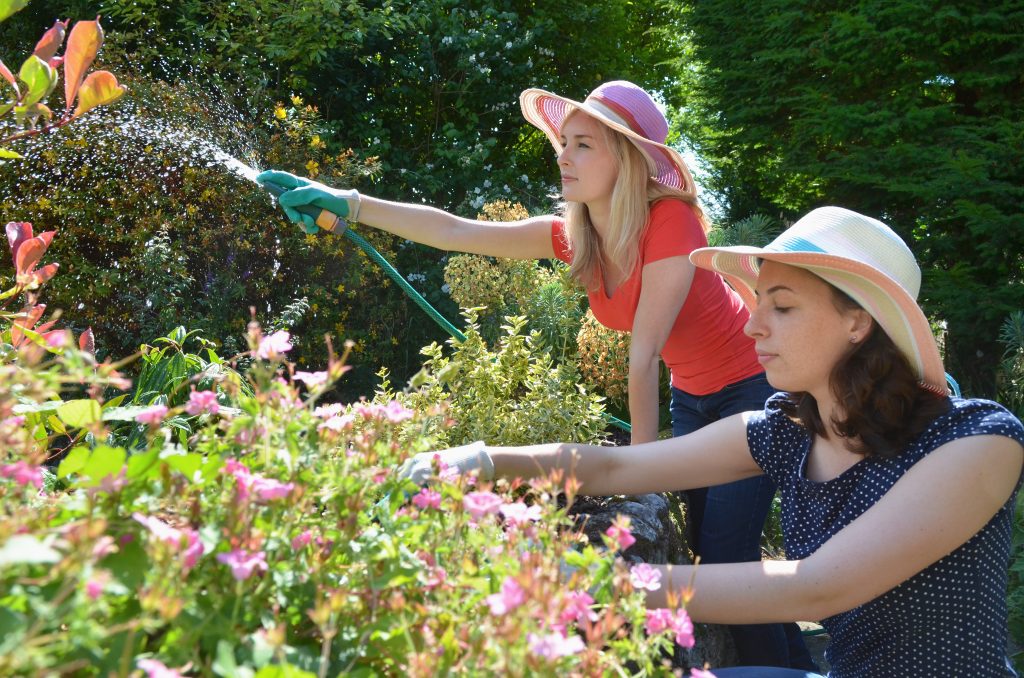 Elite Garden Maintenance & Landscaping | 6270 Owls Nest Place, Sooke, BC V9Z 1A9, Canada | Phone: (778) 678-2524
