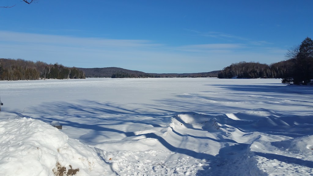 Silver Eagle Resort | 1127 Sir Sam Evans Rd, Eagle Lake, ON K0M 1M0, Canada | Phone: (905) 904-2906