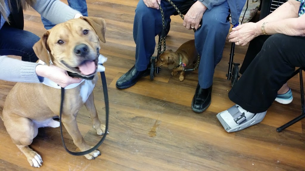 Pet Valu | 250 Edgefield Place, Strathmore, AB T1P 0E8, Canada | Phone: (403) 902-0695
