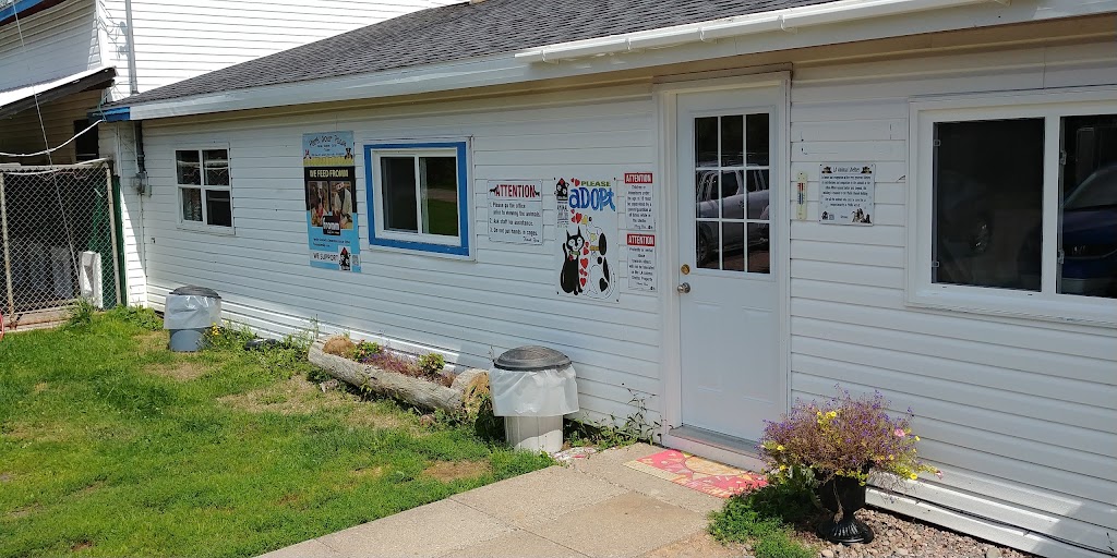 Lillian Allbon Animal Shelter | 798 Smith Rd, Amherst, NS B4H 3Y4, Canada | Phone: (902) 661-7297
