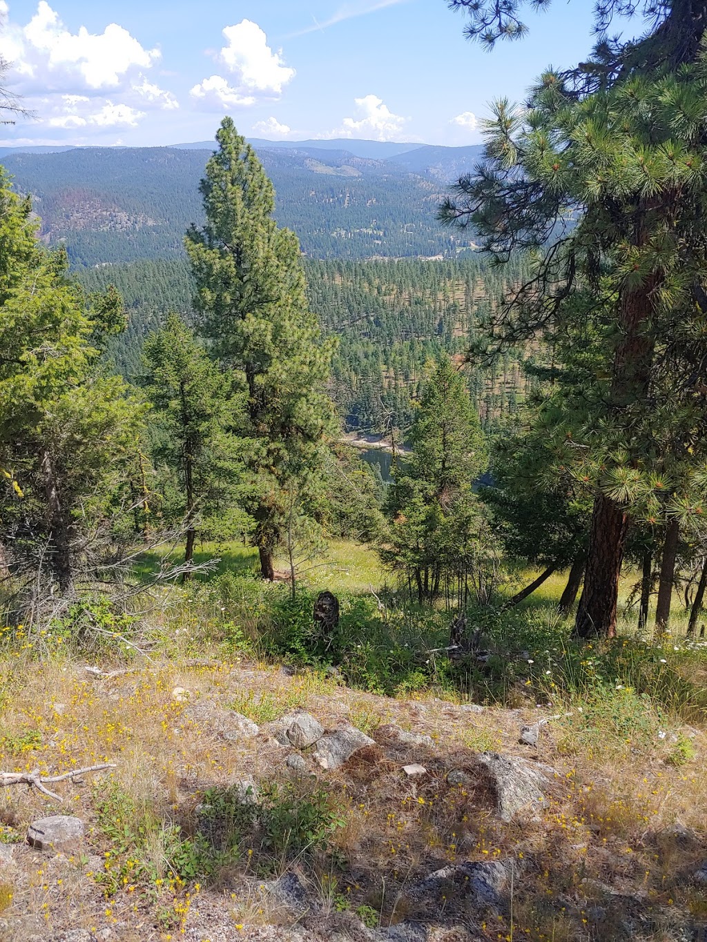 Okanagan ATV Tours | 5463 McDougald Rd, Peachland, BC V0H 1X8, Canada | Phone: (250) 717-0733
