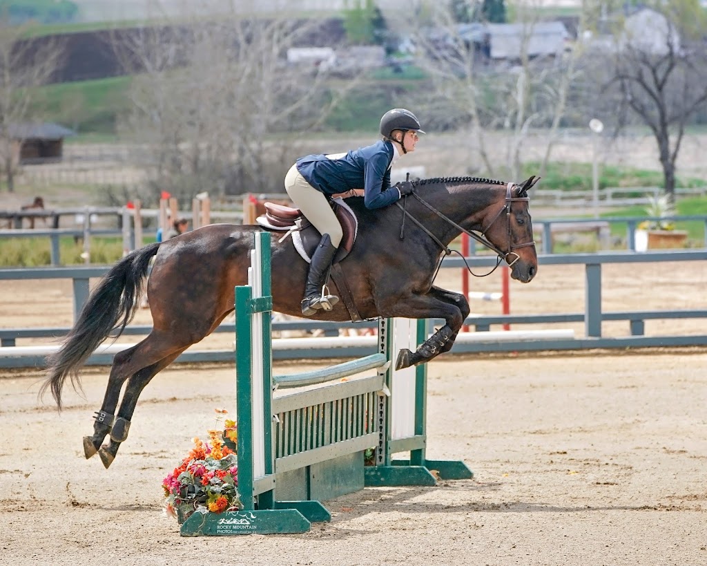 Benchmark Equestrian | 226039 88 St E, De Winton, AB T0L 0X0, Canada | Phone: (403) 397-0680