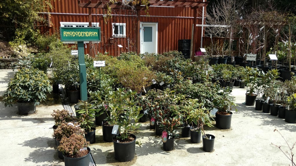 Sunshine Coast Nursery | 1826 Sunshine Coast Hwy, Roberts Creek, BC V0N 2W5, Canada | Phone: (604) 886-2796