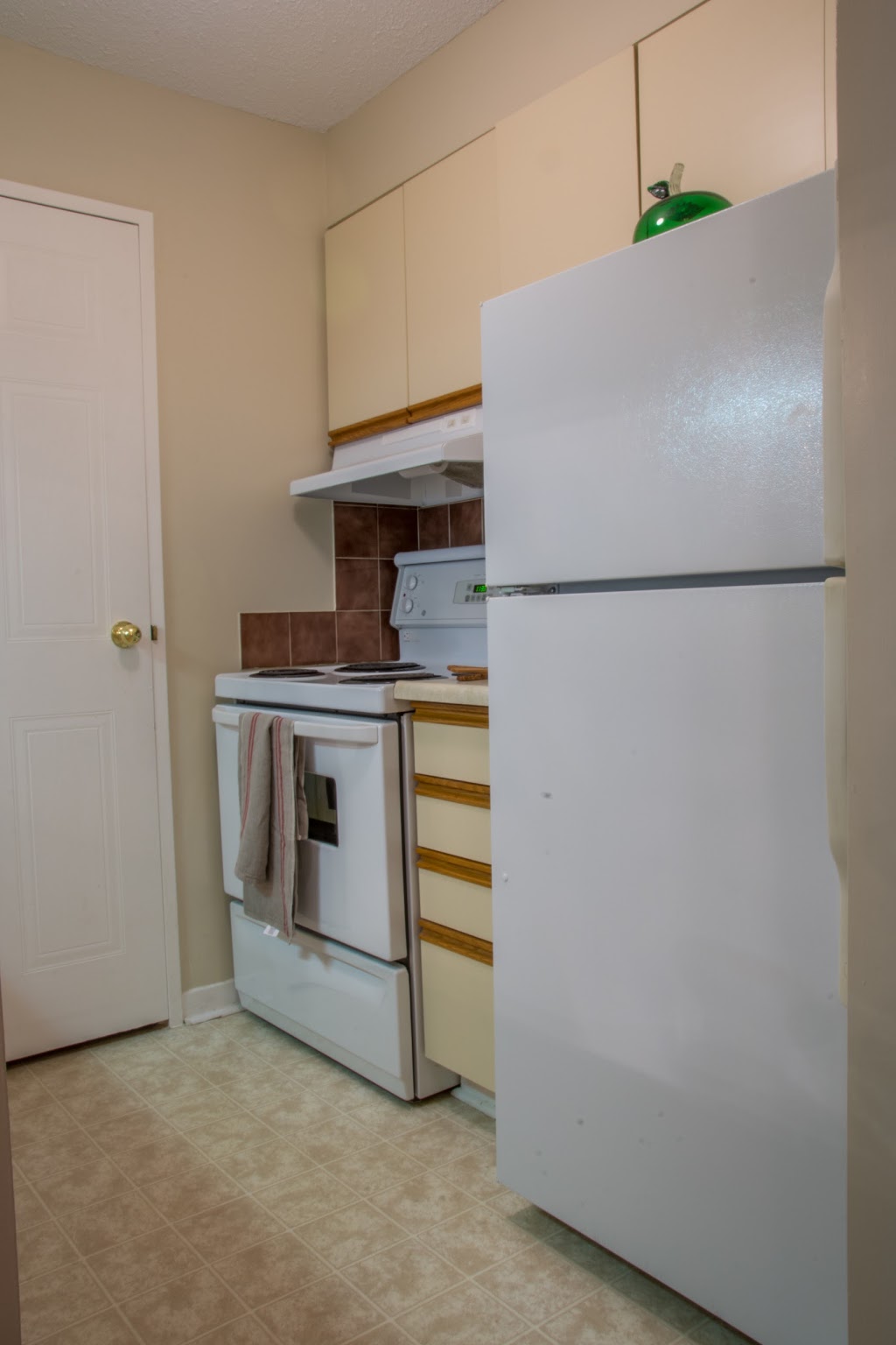 Sophia | 91 Valley Stream Dr, Nepean, ON K2H 9G8, Canada | Phone: (613) 691-6593