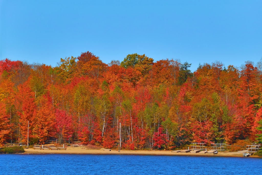 Camp Towhee | 1393 Camp Towhee Rd, Algonquin Highlands, ON K0M 1S0, Canada | Phone: (705) 457-2741