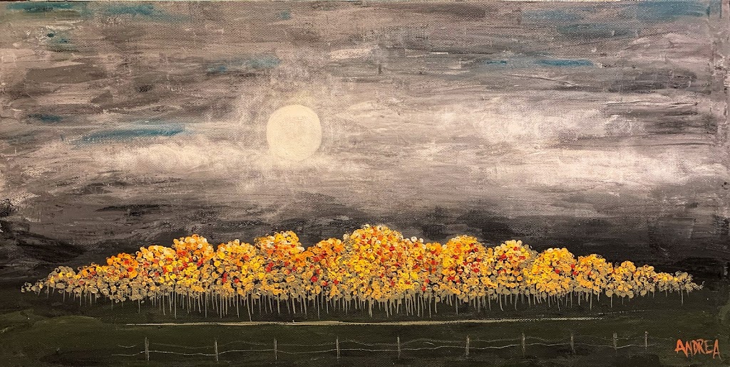 Andrea Ts Creative Pleasure | 538 Country Meadow Way NW, Turner Valley, AB T0L 2A0, Canada | Phone: (587) 888-6376