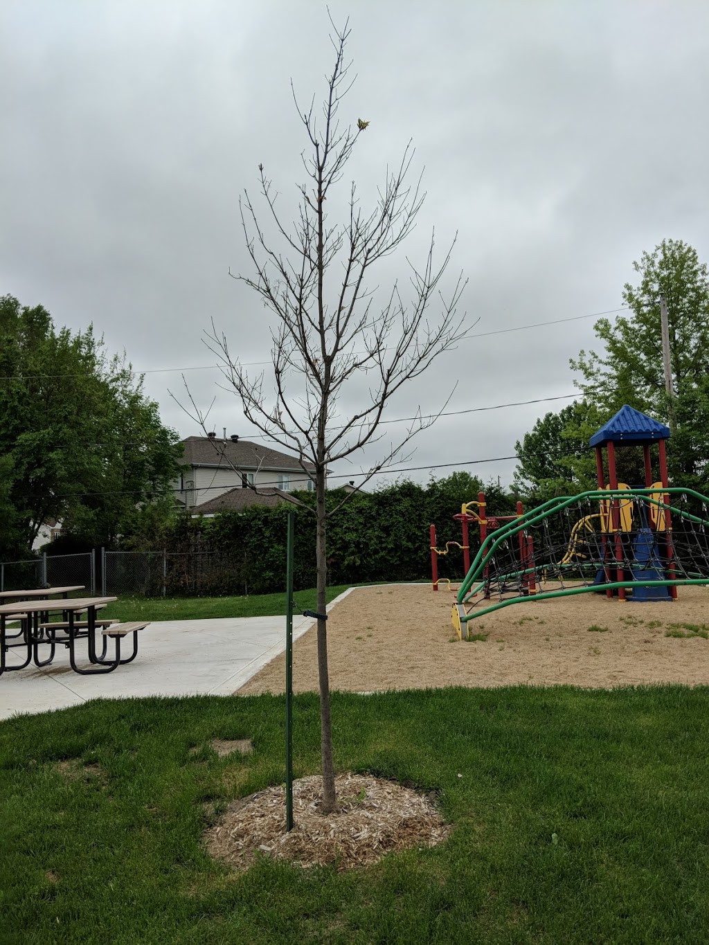 Parc du Ruisseau | 132 A Rue du Ruisseau, Gatineau, QC J8M 1H9, Canada | Phone: (819) 595-2002
