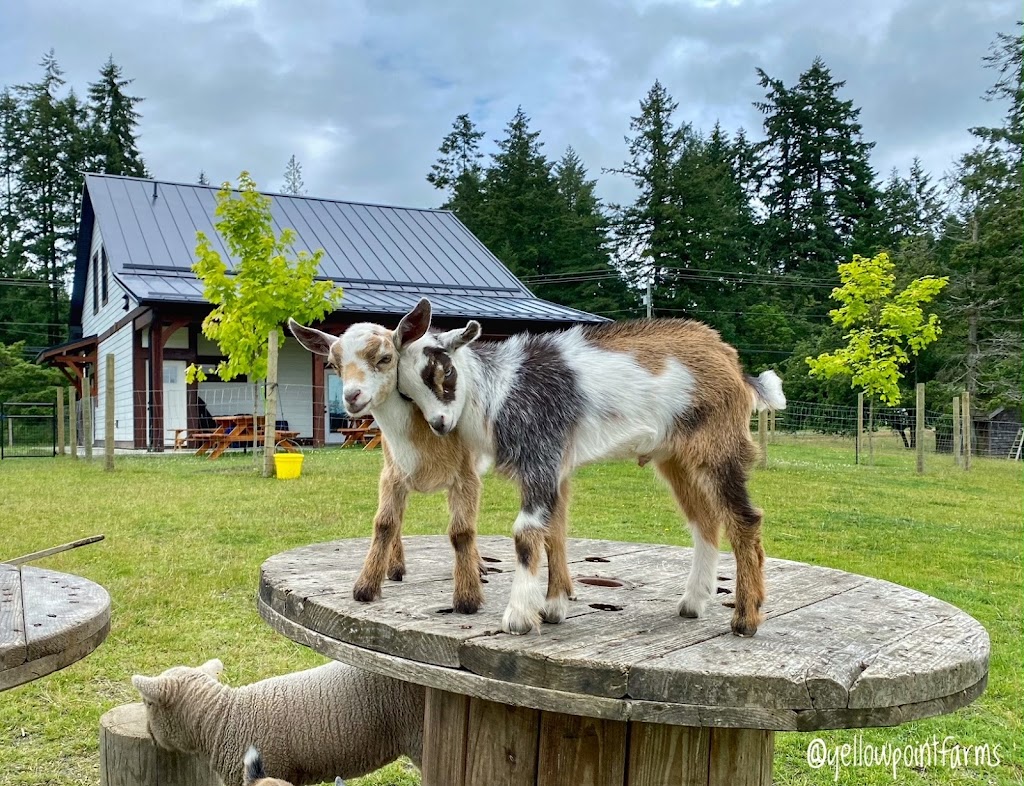 Yellow Point Farms | 4756 Yellow Point Rd, Ladysmith, BC V9G 1H2, Canada | Phone: (250) 268-1030