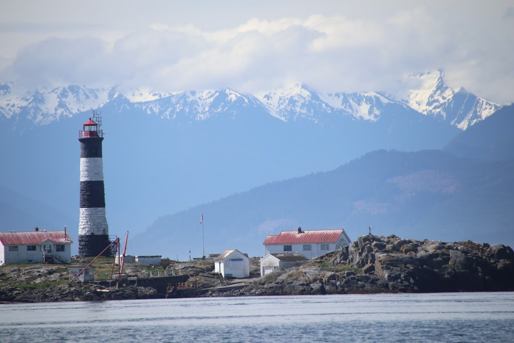Esquimalt Eco tours | C/O Westbay Marina, 453 Head St, Victoria, BC V9A 5S1, Canada | Phone: (778) 535-7744