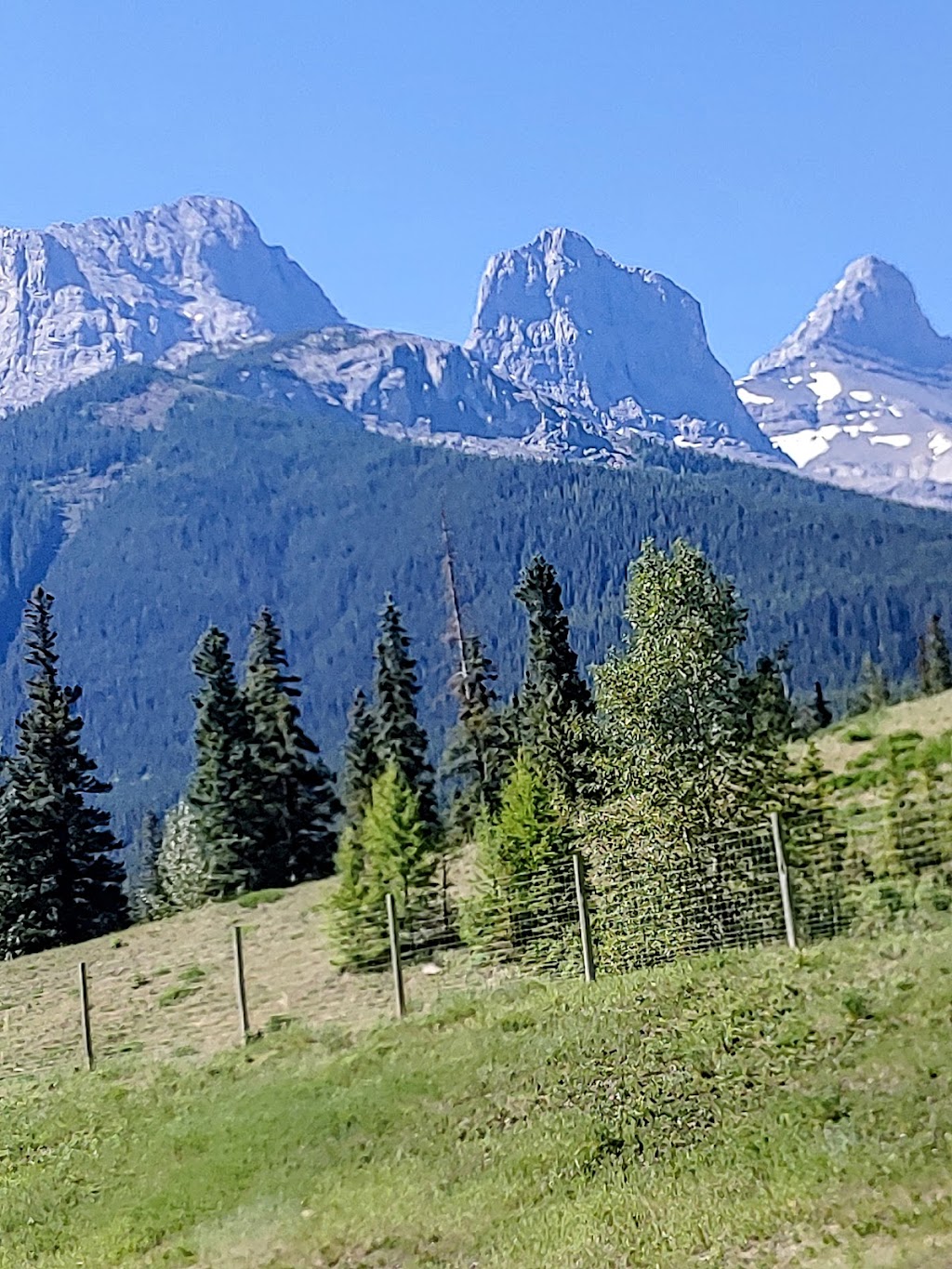 Bow River Campground | Hwy 1 and, Three Sisters Pkwy, Canmore, AB T0L 2C0, Canada | Phone: (403) 673-2163