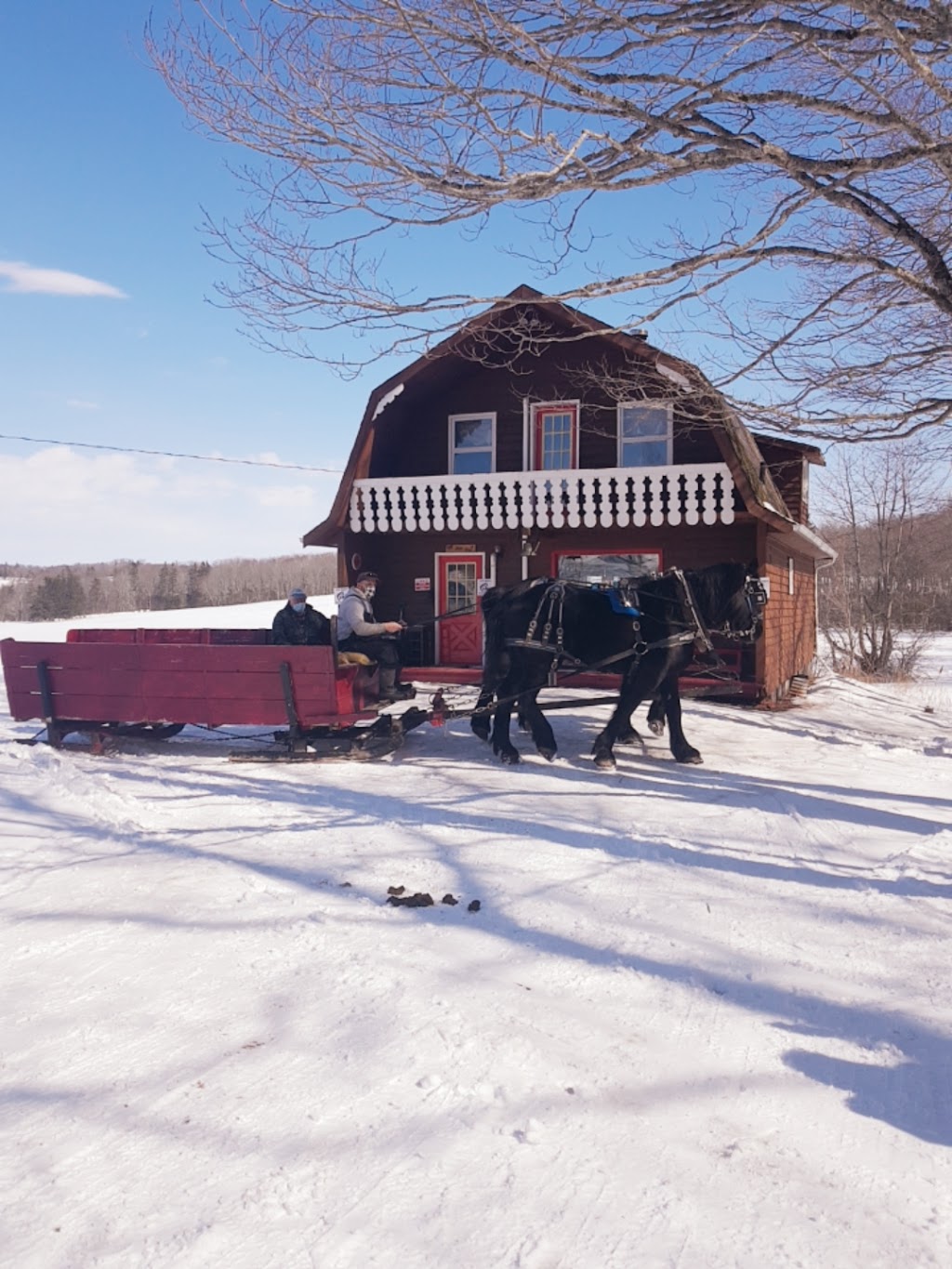 Potts Sleigh Rides | 439 Bonshaw Rd, Bonshaw, PE C0A 1C0, Canada | Phone: (902) 675-2107
