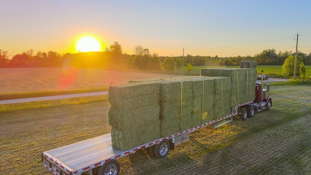 Marhaven Agri Service | 7715 Wellington 8, Alma, ON N0B 1A0, Canada | Phone: (519) 580-6710
