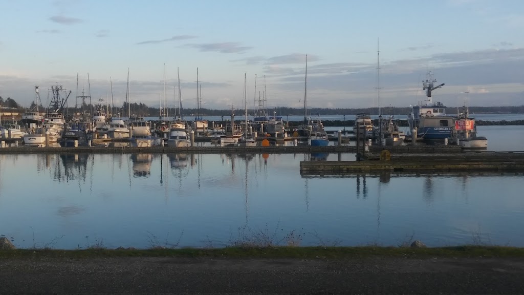 Blaine Marine Park Playground | 298 Marine Dr, Blaine, WA 98230, USA