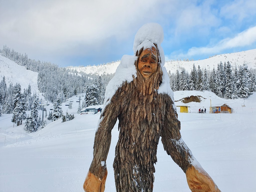 Sasquatch Mountain Resort | 20955 Hemlock Valley Rd, Agassiz, BC V0M 1A1, Canada | Phone: (604) 797-4411