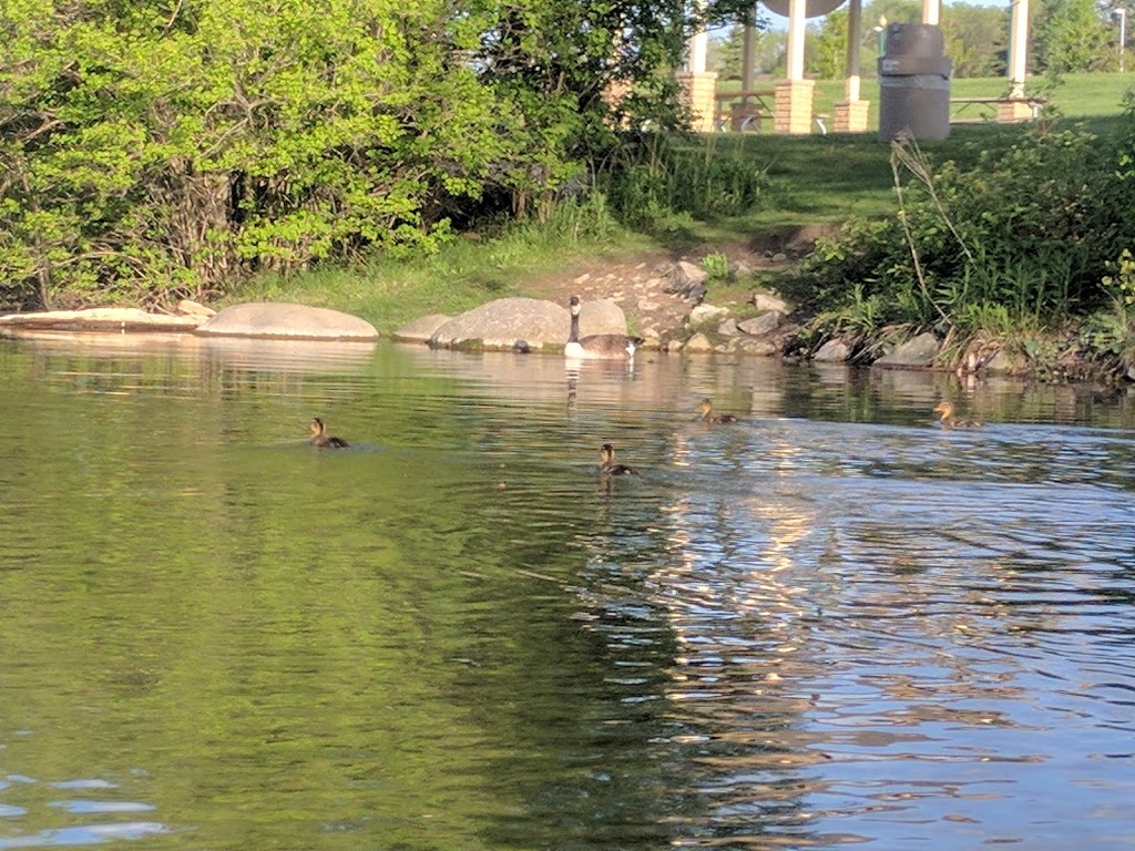 South Shore Park | Lakeshore Dr, Barrie, ON L4N, Canada