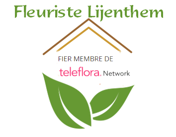 Fleuriste Lijenthem Sherbrooke | 752 Rue du Conseil, Sherbrooke, QC J1G 1L2, Canada | Phone: (819) 562-6254